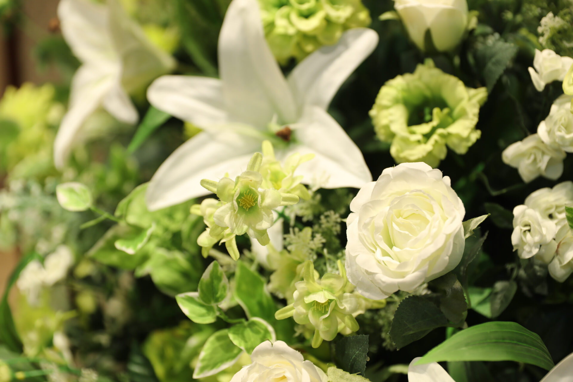 相模原で身元保証を考えたとき「費用が不安」で止まっていませんか？